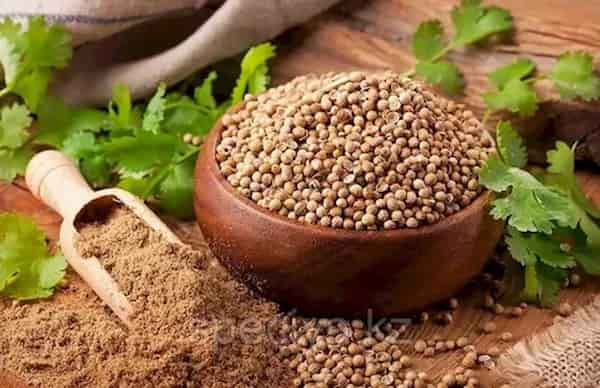 تصویر 4 از قیمت خرید دانه تخم گشنیز با فروش عمده